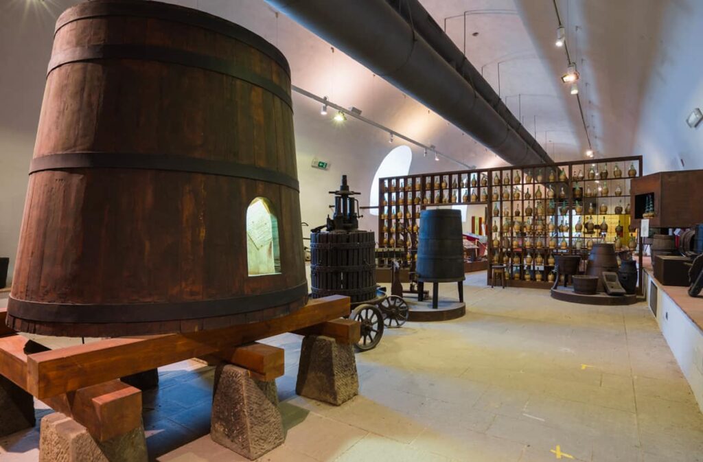 Museo della vite e del vino - Vigolzone