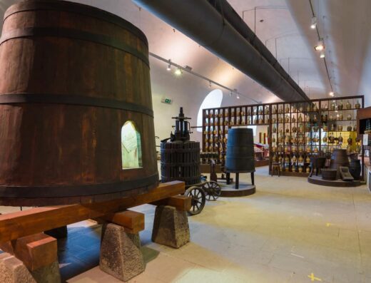 Museo della vite e del vino - Vigolzone