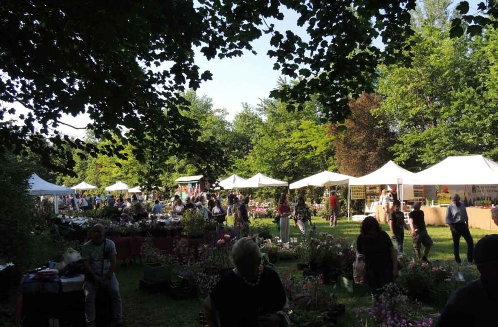 eventi piacenza